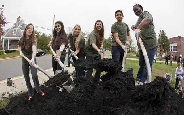 Verizon Green Team